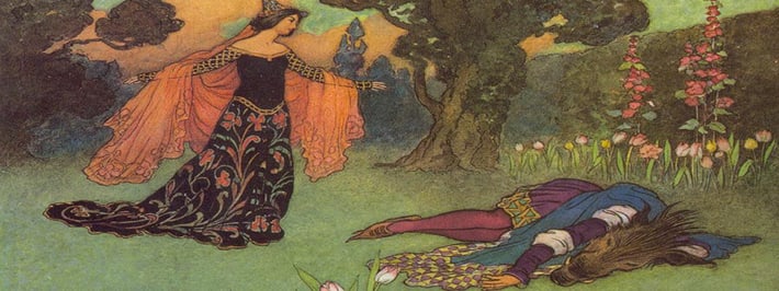 beauty-runs-to-a-dying-beast